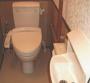 �g�C���o���A�t���[���C